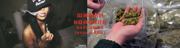 соль ск Алексин