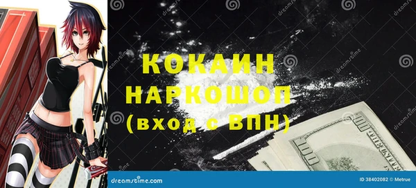 соль ск Алексин