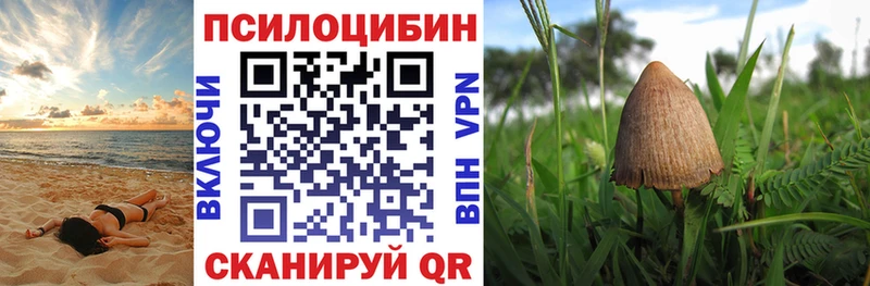 shop клад  Краснодар  Псилоцибиновые грибы MAGIC MUSHROOMS 